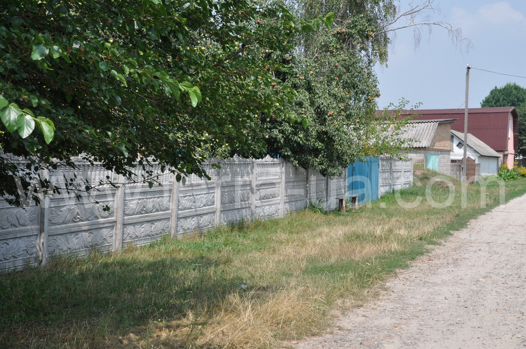 ������ ������� ������� (���������)