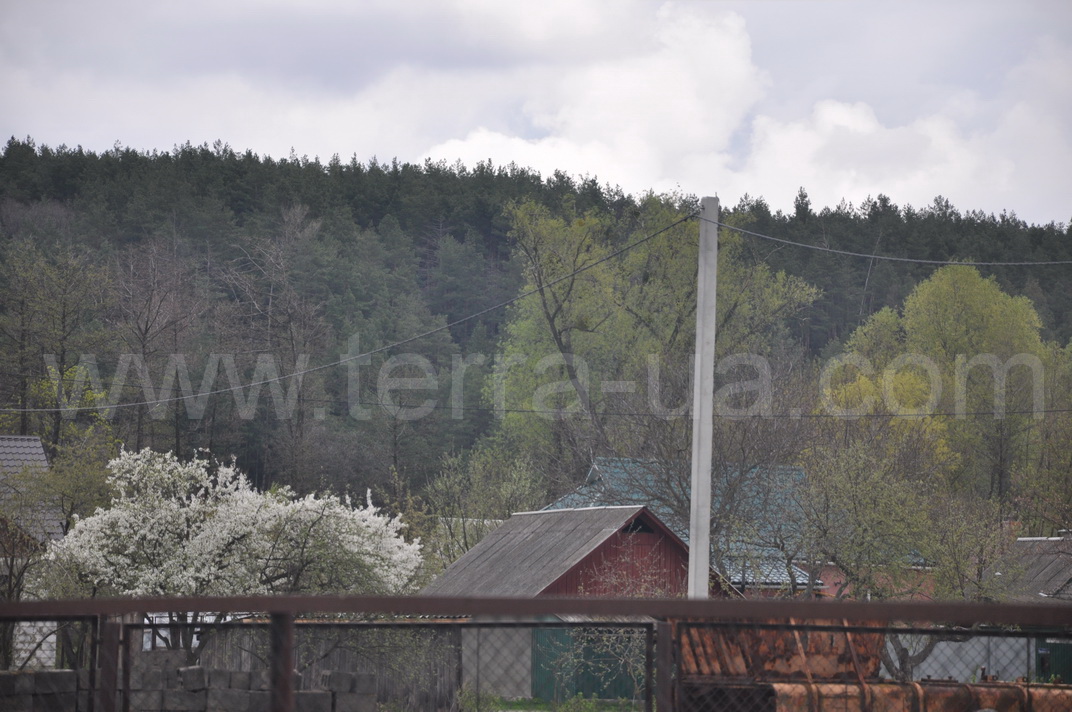 ������ ������� ��������