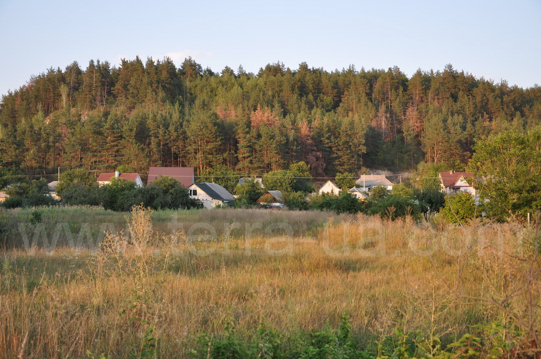 ������ ��� �������